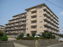 スプリングスプラザいずみ野